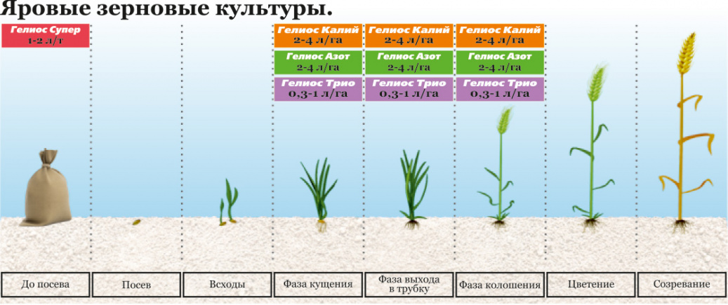 images/3.2. Яровые зерновые.jpg