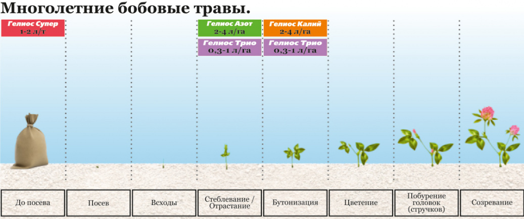 images/3.7. Многолетние бобовые травы.jpg