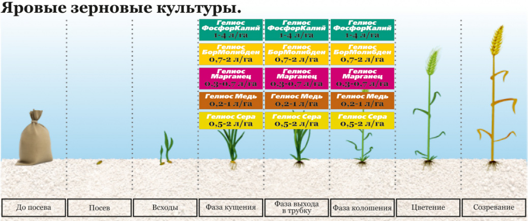 images/6.2. Яровые зерновые.jpg