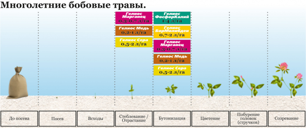 images/6.6. Многолетние бобовые травы.jpg